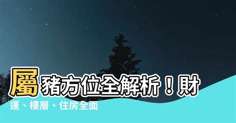 屬豬方位|【屬豬房子方位】屬豬者必看！房子方位風水全解析，招財旺運吉。